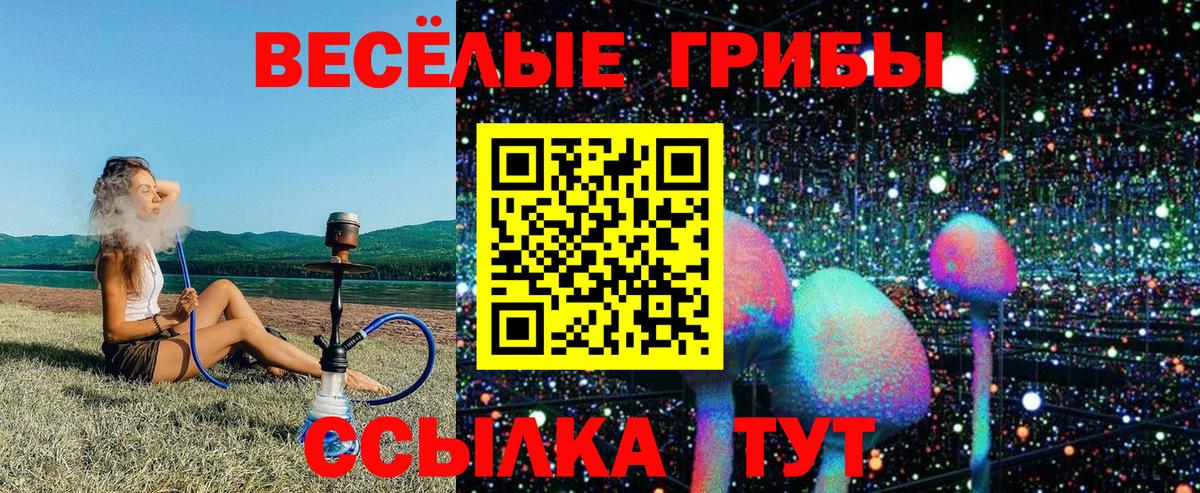 Нововоронеж  Псилоцибиновые грибы прущие грибы  Вход с VPN 