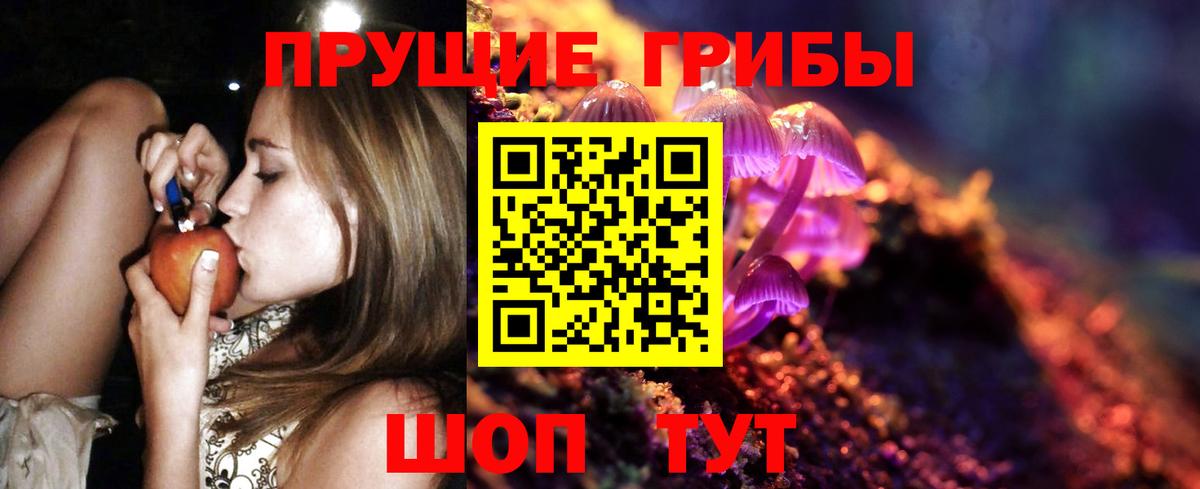 Галлюциногенные грибы прущие грибы Нововоронеж